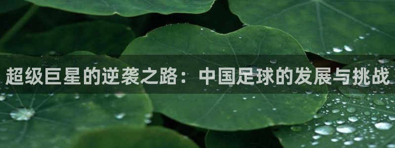 超级巨星的逆袭之路：中国足球的发展与挑战