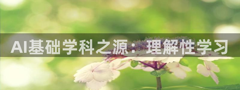 AI基础学科之源：理解性学习