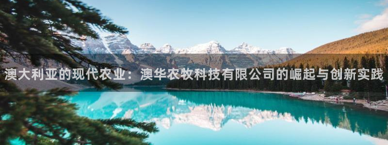 澳大利亚的现代农业：澳华农牧科技有限公司的崛起与创新实践