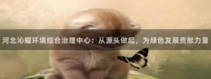 河北沁耀环境综合治理中心：从源头做起，为绿色发展贡献力量