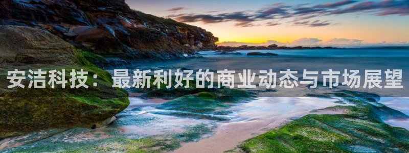 安洁科技：最新利好的商业动态与市场展望