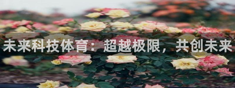 未来科技体育：超越极限，共创未来