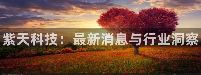紫天科技：最新消息与行业洞察
