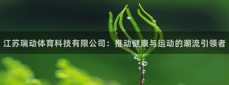江苏瑞动体育科技有限公司：推动健康与运动的潮流引领者