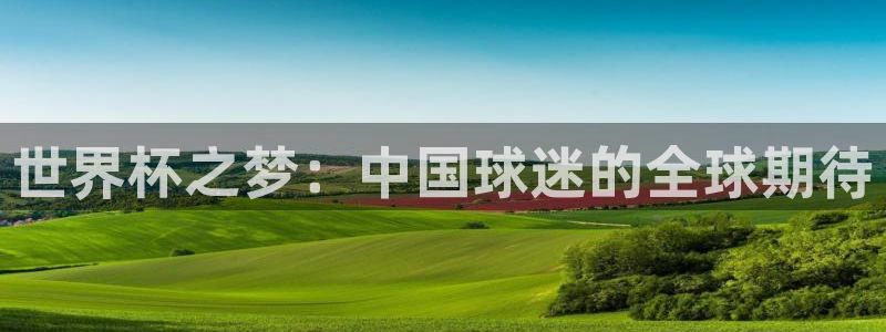 世界杯之梦：中国球迷的全球期待