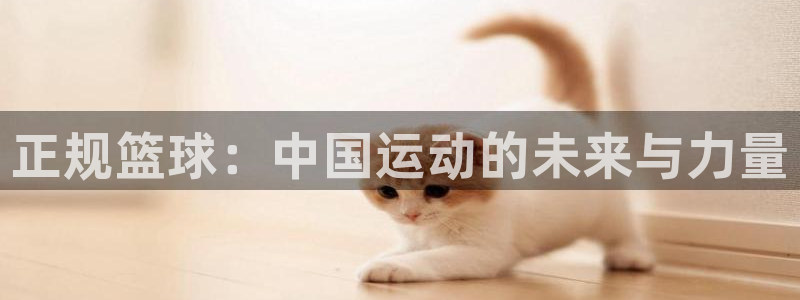 正规篮球：中国运动的未来与力量