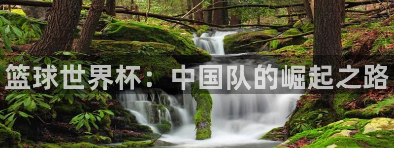 篮球世界杯：中国队的崛起之路