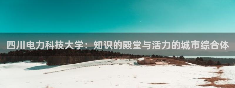 四川电力科技大学：知识的殿堂与活力的城市综合体