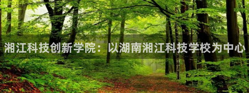 湘江科技创新学院：以湖南湘江科技学校为中心
