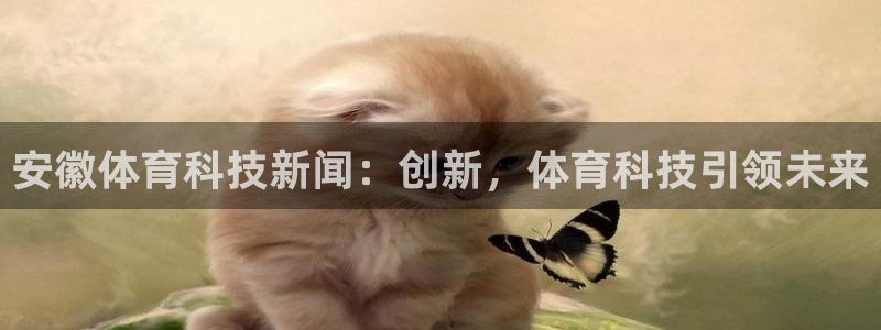 安徽体育科技新闻：创新，体育科技引领未来