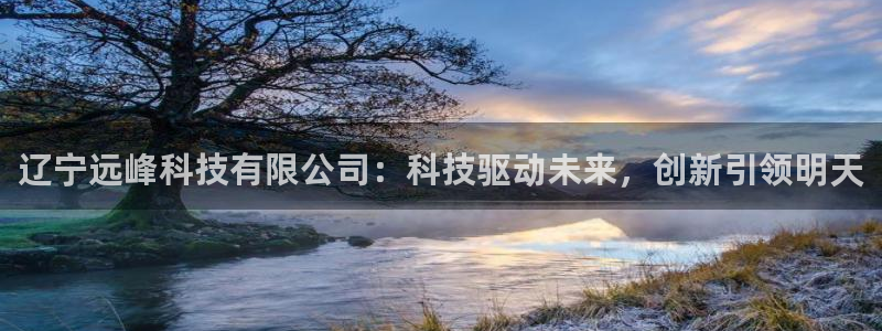 辽宁远峰科技有限公司：科技驱动未来，创新引领明天